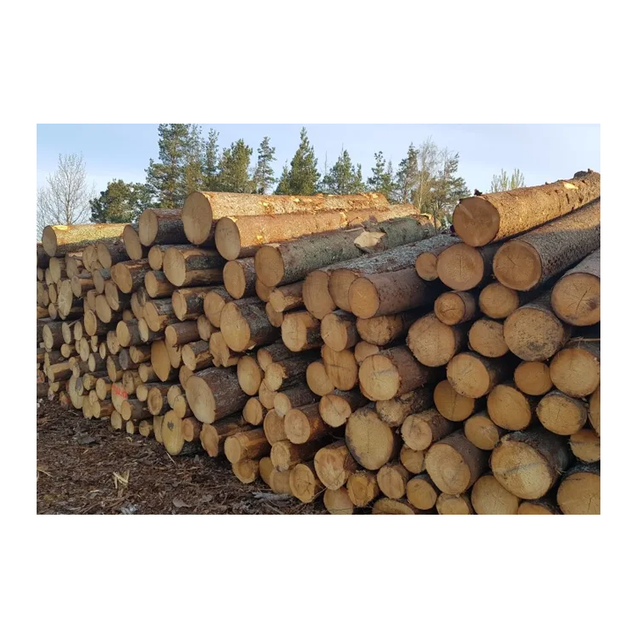 Spruce Wood Logs - High-Quality Timber for Sawmills and Wood Industries - Image 3