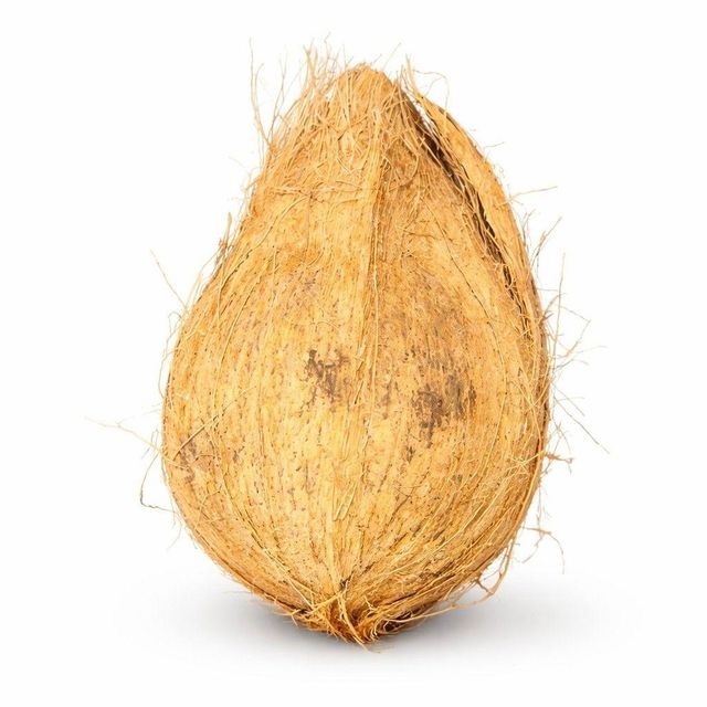 Semi Husked Coconut Grade Premium Origin Indonesia Features Organic Shape Whole Coconut Color Natural Brown Shelf Life Up To 60 Days - Image 3
