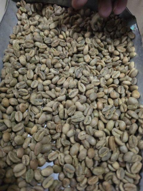 Coffee Organic Yes Decaffeinated No Bean Type Arabica Degree of Processing Raw - Image 1