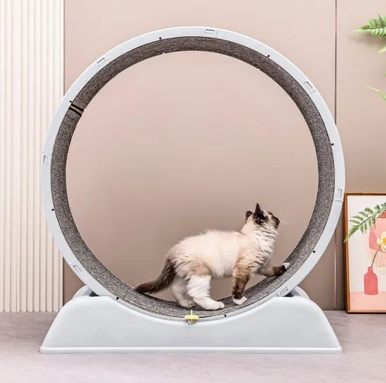 Cat Circle Track Interactive Pet Running Toys - Image 2