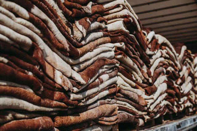 Premium Export Quality Wet Salted Donkey Hides Dry Salted Donkey Skins Wholesale Supplier Leather Goods Manufacturing - Image 1