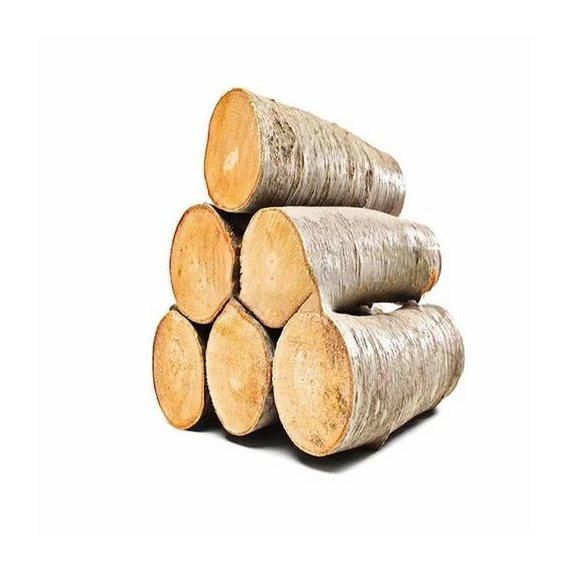 High quality beech logs available at factory price for wholesale buyers - Image 3