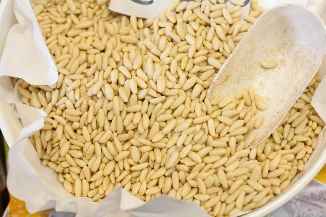 Wholesale Bulk Pine Nuts Supplier - Image 3