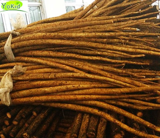 Chinese Fresh Burdock Root Style Fresh Type BURDOCK Model Number A Weight (kg) 10 Certification CIQ Cultivation Type - Image 4