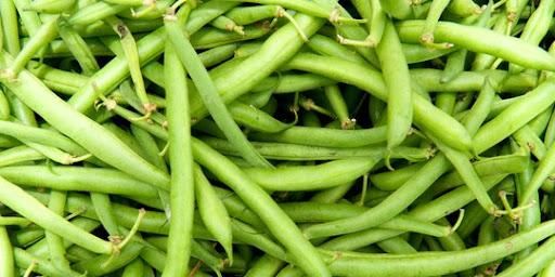 string bean - Image 5