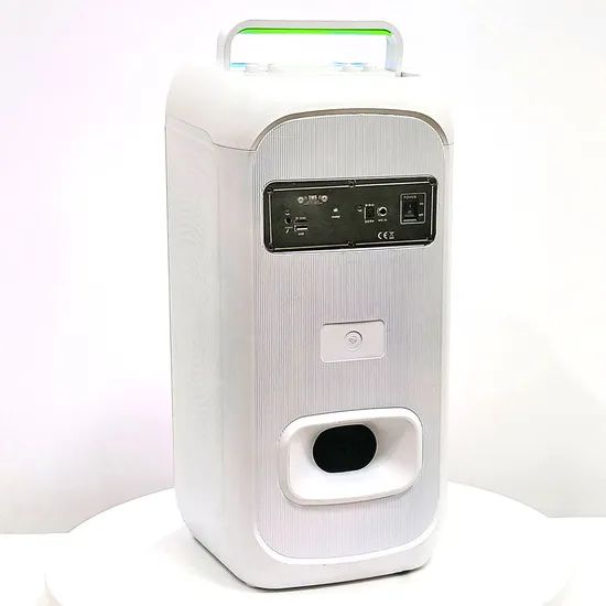 High Quality Double 8 Inch Party Box Speakers with Wireless Microphone - Image 4