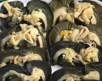 Wholesale Frozen Africa Snail Premium Quality Seafood Choice For Distributors Retailers - Image 4
