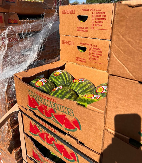 Best-Selling Mini Seedless Watermelons Fresh Large-Size Watermelon 6 per Carton Buy Naturally Sweet Watermelon - Image 4