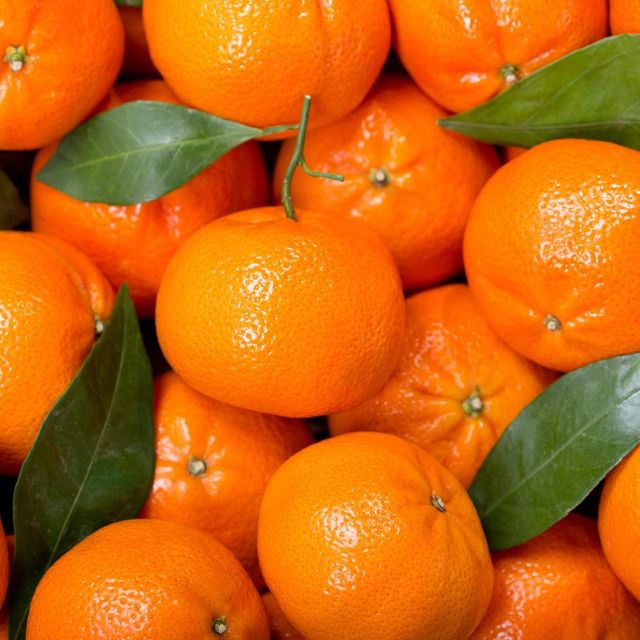 Premium South African Citrus - Fresh from Our Farms to the World! - Image 3