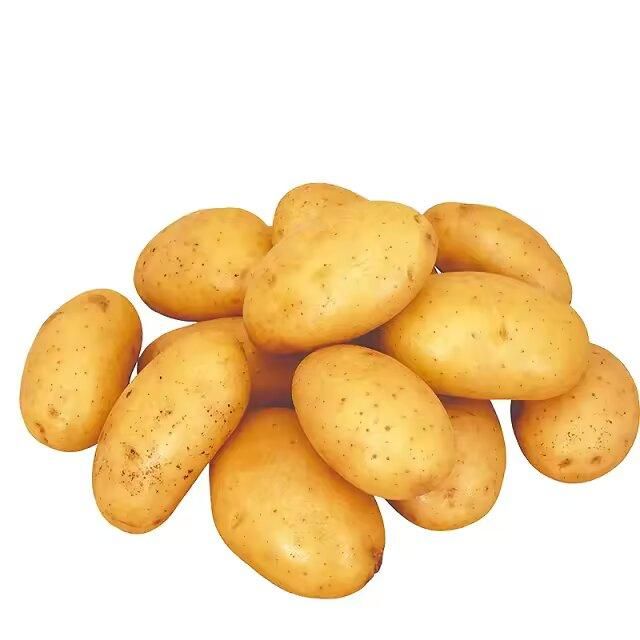 Export Quality Fresh Potato Natural Vegetables Fresh farm healthy Potatoes at Low Prices Wholesale – product photo 3, product detail gallery