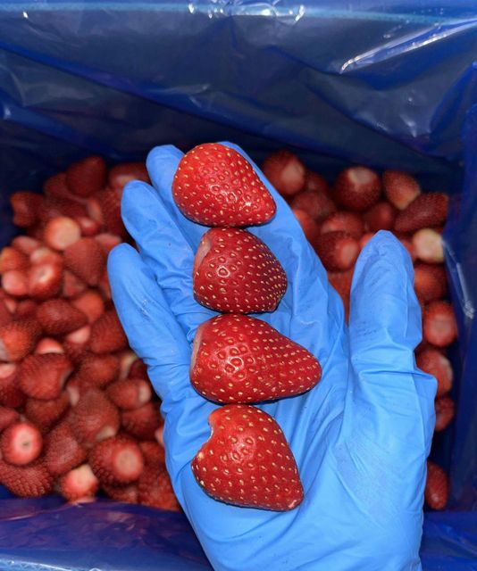 Premium IQF Frozen Strawberry - Grade A - Egyptian Origin - Export Quality - 10kg Cartons - Image 3