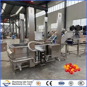 Fruit and Vegetable Processing Fresh Tomato Bubble Cleaning Washing Machine - Image 1