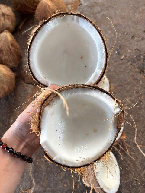 Vietnam Semi-husked Coconut Drink and Cooking make coconut oil desiccated coconut - Image 4