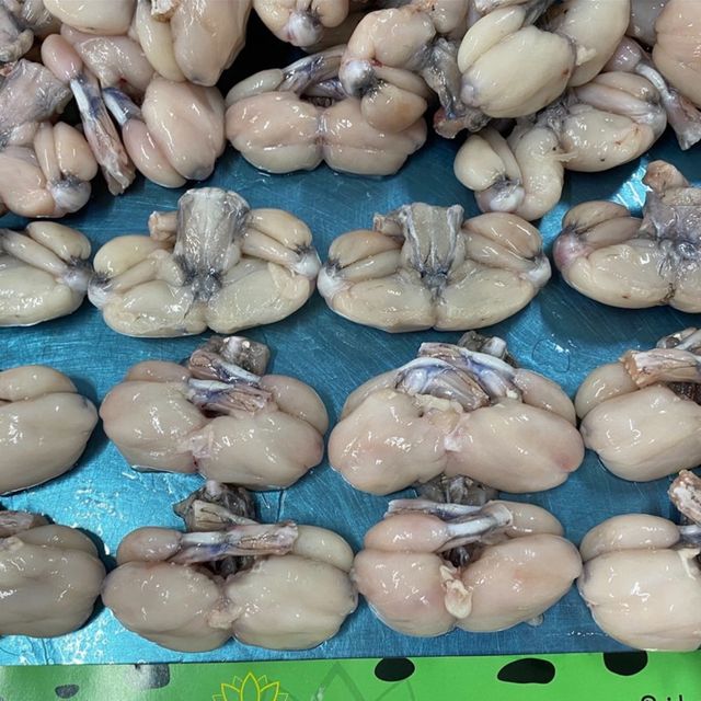 High quality frozen frog legs/ Ancas de rana competitive price - Image 4