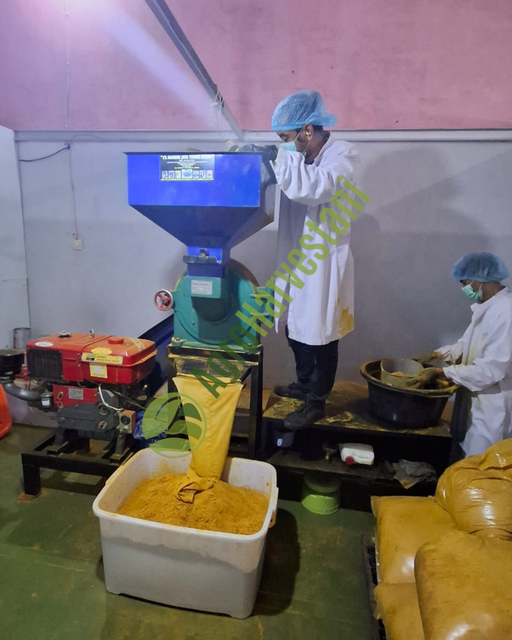 Premium Indonesian Turmeric (Available in Fresh, Dried Slices, and Fine Powder) - Image 3