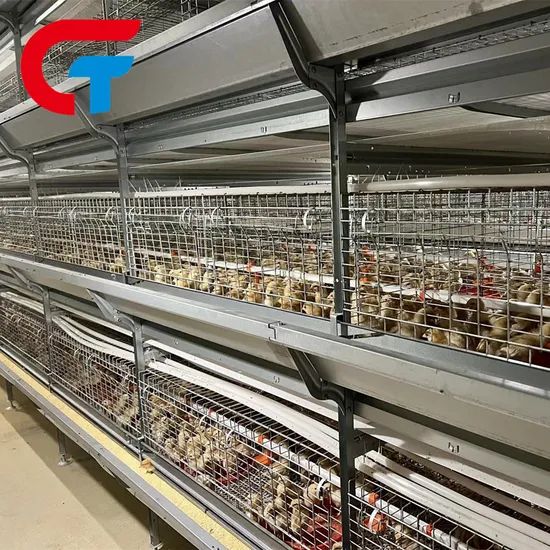 H Frame Automatic Feeding System Farming Poultry Equipment Battery Cage - Image 6