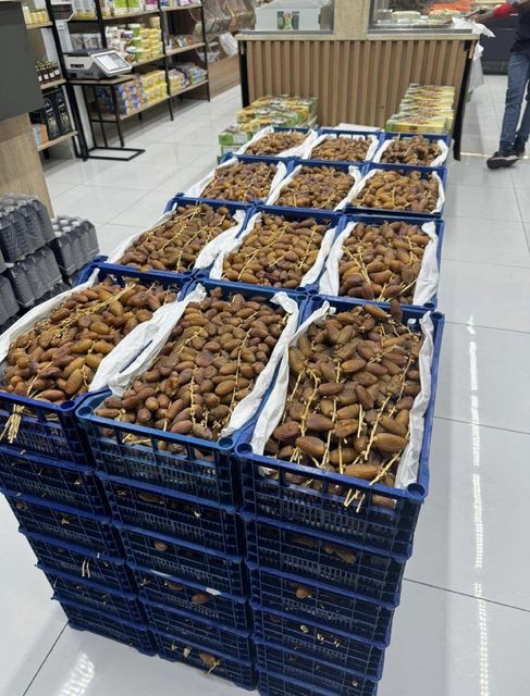Premium Libyan Degla Dates – Export Quality - Image 4