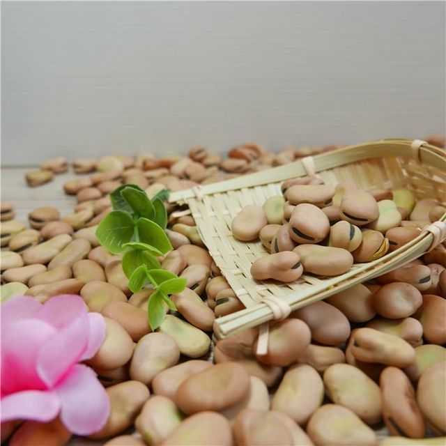 Natural growth broad beans fava bean faba beans Style Dried Weight (kg) 25 Ingredients NO Brand Name jidi Model Number - Image 5