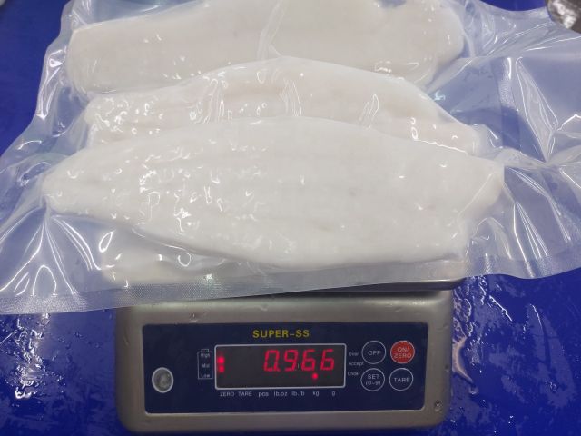 IQF Frozen Pangasius Basa Tra Swai Fillet Fish in Vietnam 10kg packing HACCP - TANIS IMEX CO., LTD - Image 3