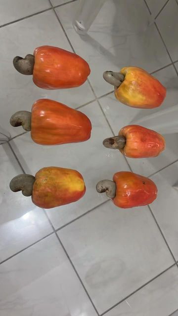 Brazilian Frozen Caju (Cashew Apple) – 100% Natural, No Additives, FDA Registered Supplier - Image 3