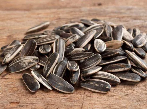 Premium Quality Organic Large Blanched Sunflower Kernels Seeds High Protein Bag-High Quality Food Fast Deliver - Image 2