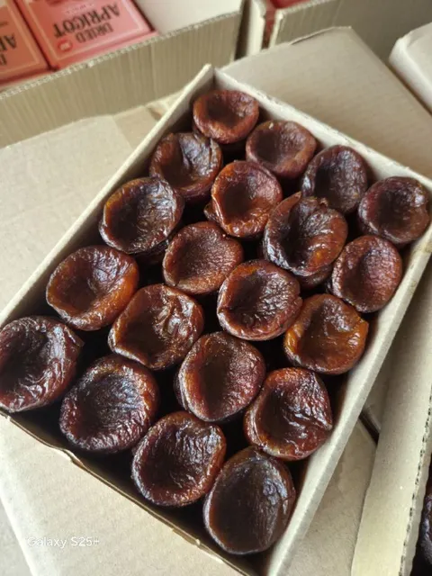 Dried apricot natural Packaging box Crop Year 2025 Origin Uzbekistan Drying Process sun Natural Additives No Product Type Dried Apricot - Image 1