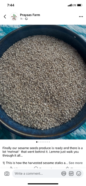 Sesame seed - Image 1