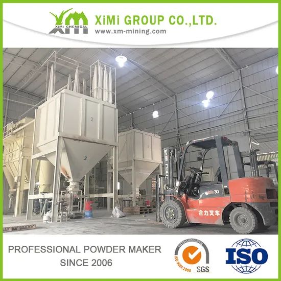 600 Mesh 92% Whiteness Talc Powder for Emulsion Paint - Image 6