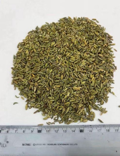 Fennel Organic No - Image 1