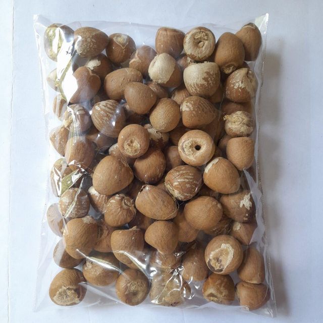 Natural Sun Dried Betel Nuts From Trusted Farms With Premium Packing Methods For Overseas Import And Bulk Supply - Image 4