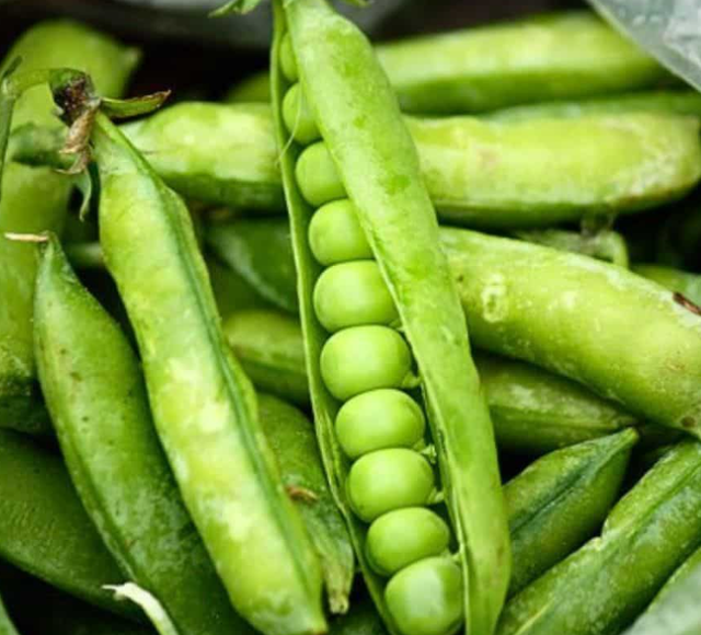 Premium Quality Food Grade Green Pigeon Peas Wholesale Bulk Style Storage Packing and Packaging ready for export - Image 4