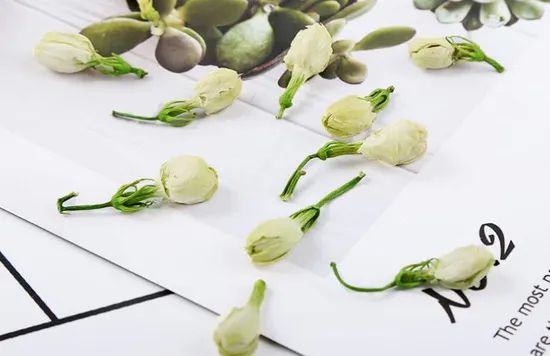 Jasmine Flower Herbal Tea Dried Leaves natpurecha LBJF1032 Bags 15D - Image 2