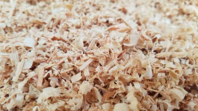PINE WOOD SHAVINGS FOR ANIMAL BEDDING & SAWDUST - Image 4