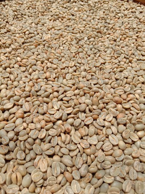Roasted Coffee Beans and Coffee Beans - Image 1