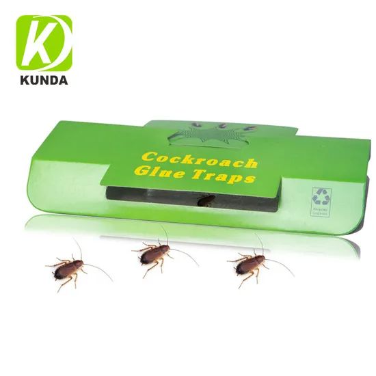 China Cockroach Killer Trap Roach Motel Insect Silverfish Cockroach House Glue Trap - Image 1