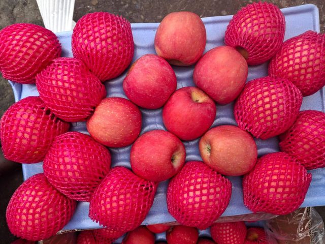 Fresh Fuji Apples for sale class 1 export quality - Image 3