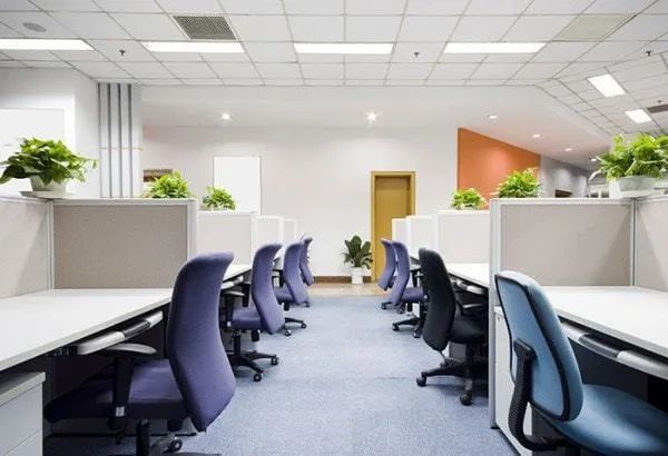 Office And Building Cleaning Floor Finish Types Granite, Marble, Natural Stone, Ceramic, Wooden, Synthetic, Fabricated Building Types Served Shopping Complex, Trade Center, Condominium, Factory, Workshop, Warehouse, Sport Stadium And Complex, Theme Park, Concert Hall, - Image 1