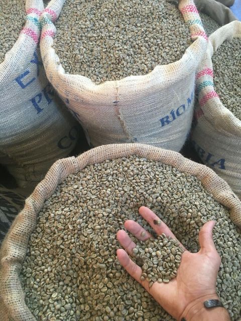 Premium Green Coffee Beans – Arabica & Robusta | Wholesale Bulk Supply - Image 2
