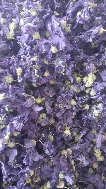 Mallow Malva Sylvestris Form Dried Packaging Cartons, PP BAGS Plant Species Malva Sylvestris Primary Active Compound Mucilage - Image 5