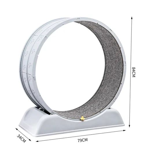 Cat Circle Track Interactive Pet Running Toys - Image 5