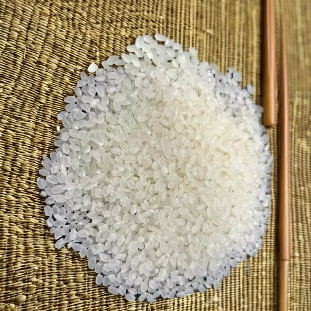 Premium Japonica Rice 5kg 10kg 25kg 50kg Short Grain White Rice Soft Sticky Texture High Moisture Retention Ideal For Sushi Rice Bowls And Daily Cooking Buy Now Fast Delivery Premium Quality Wholesale - Image 1