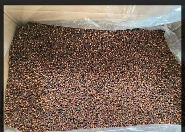 Cloves – Premium Whole Cloves (Export Quality) - Image 2