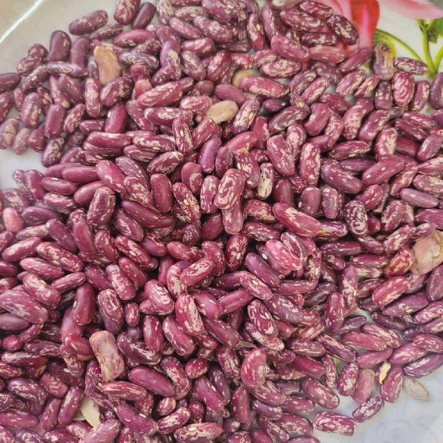 Quality Dehydrated Legume Supply Containing Sugar Beans Prepared For Overseas Buyers With Clean Handling - Image 4