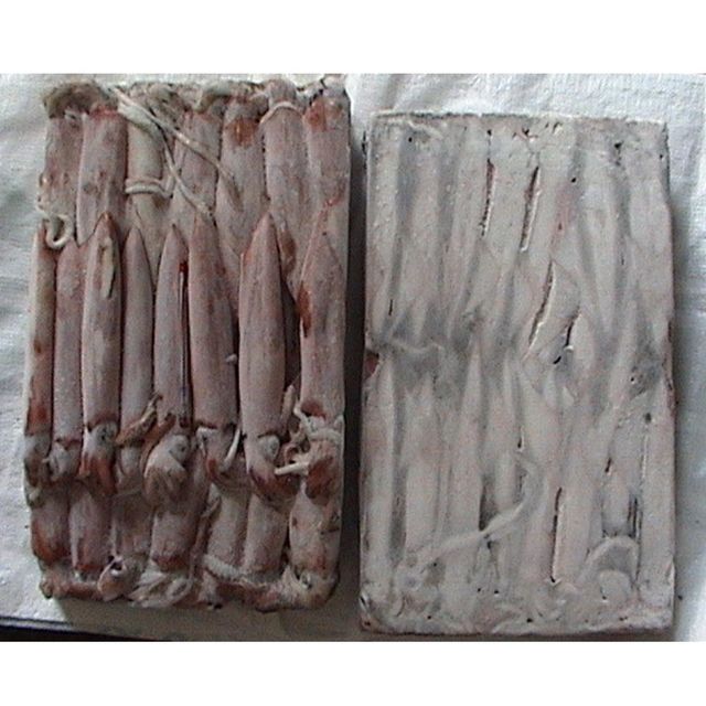 Frozen Squid Whole Round Processed For Marine Food Importers Restaurant Suppliers And Seafood Market Demand - Image 5