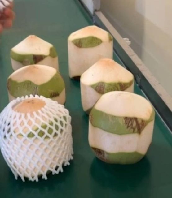 Perfume Nam Hom Variety Coconut with Easy Opener Best Seller Premium Quality Fresh from Thailand Organic Sweet Semi Green Husk - Image 5