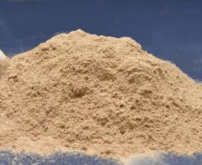 Dehydrated Garlic Products - Image 2