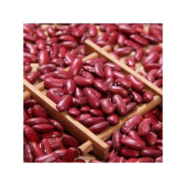 Red Kidney Bean low price bulk supply wholesale premium quality - Image 2