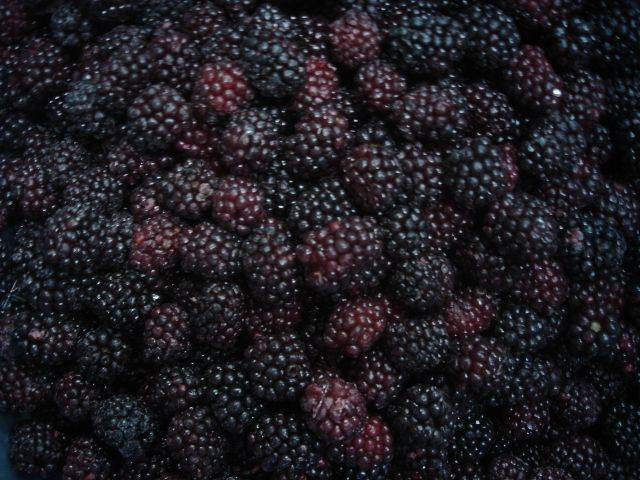 Hot Selling IQF Blackberry Frozen Blackberry Fruits Content no Address no Shape Round Style FROZEN Packaging Bulk Weight (kg) - Image 4