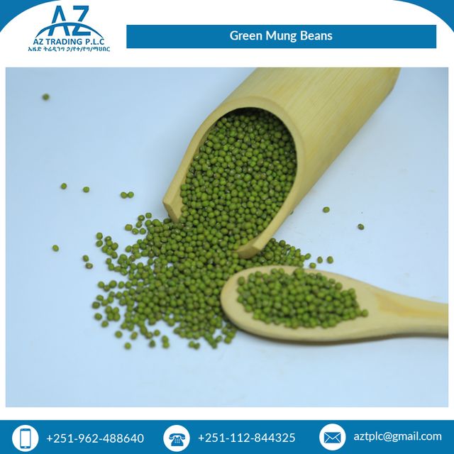 Optimum Quality Machine Cleaned Ethiopian Green Vigna Beans Mung Beans at Wholesale Price 97.5% Min 0.2% Max 0.5% Max 1.5% Max – product photo 3, product detail gallery