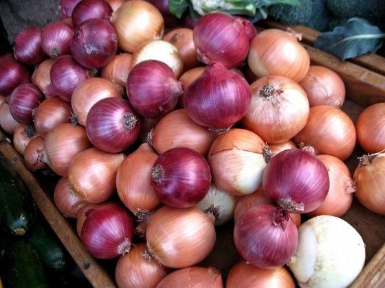 Fresh Red Onions  - Image 1